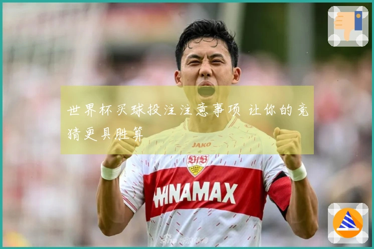 世界杯买球投注注意事项 让你的竞猜更具胜算