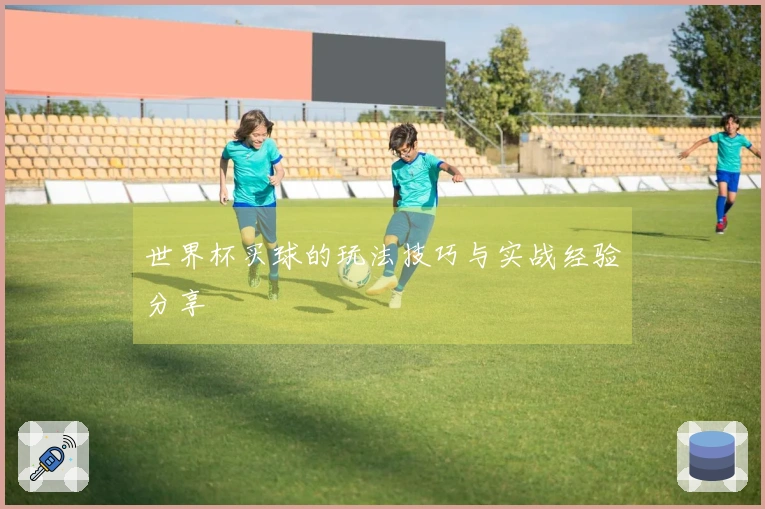 世界杯买球的玩法技巧与实战经验分享