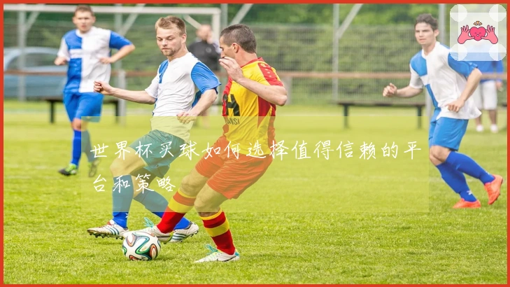 世界杯买球如何选择值得信赖的平台和策略