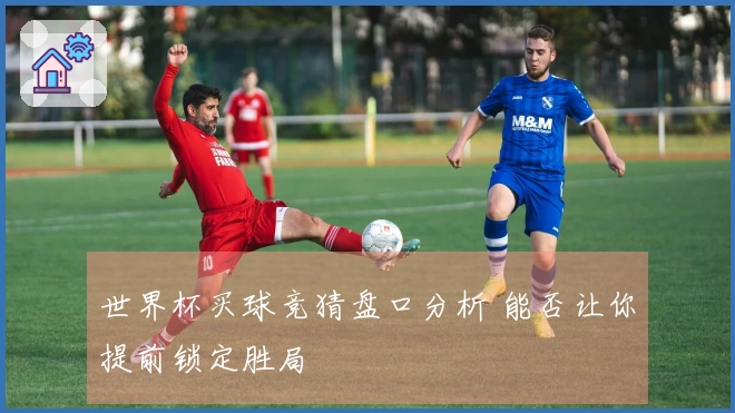 世界杯买球竞猜盘口分析 能否让你提前锁定胜局