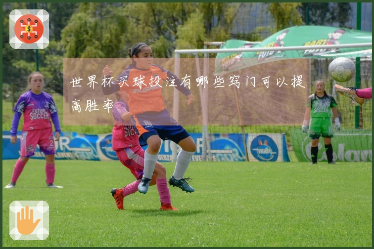 世界杯买球投注有哪些窍门可以提高胜率