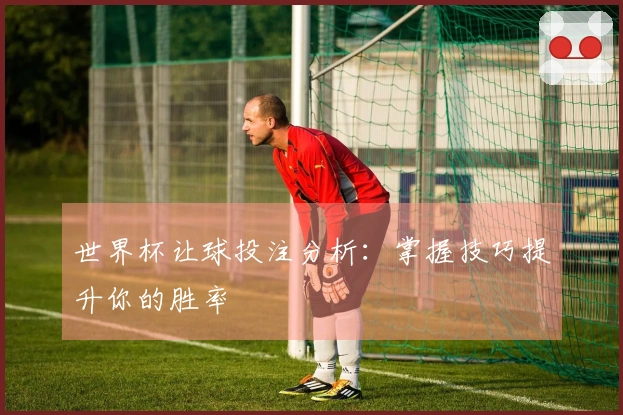 世界杯让球投注分析：掌握技巧提升你的胜率
