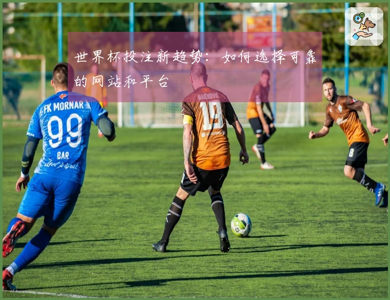 世界杯投注新趋势：如何选择可靠的网站和平台