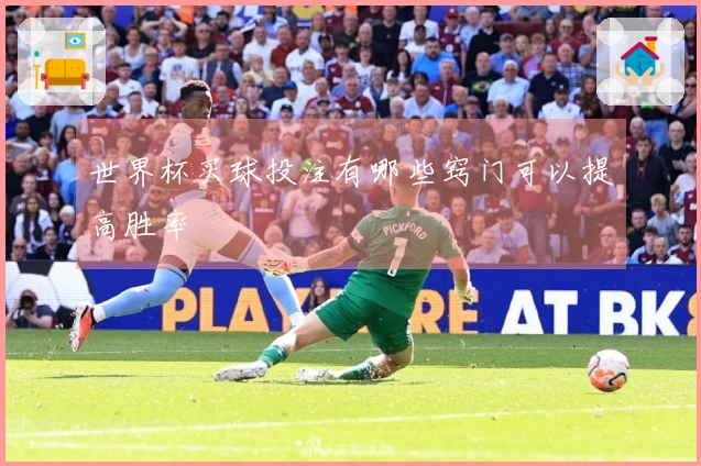 世界杯买球投注有哪些窍门可以提高胜率