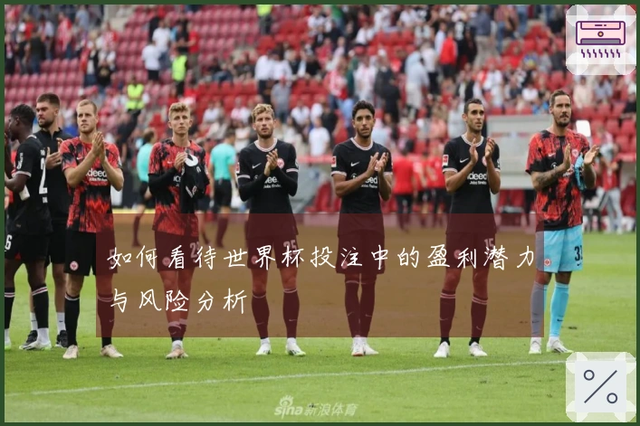 如何看待世界杯投注中的盈利潜力与风险分析