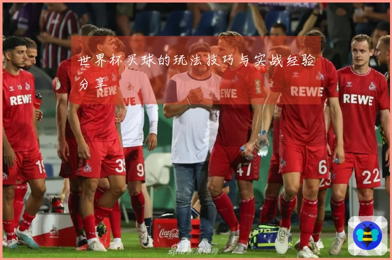 世界杯买球的玩法技巧与实战经验分享